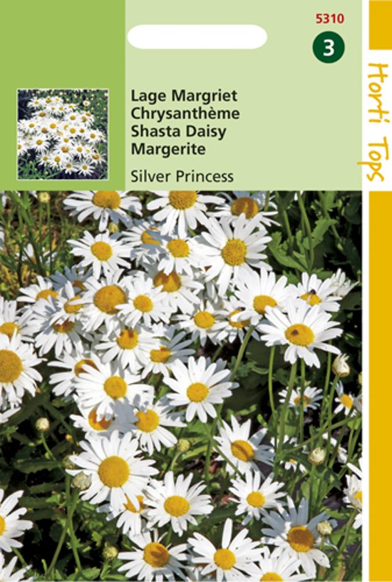 Margriet Silver Princess (Leucanthemum) 450 zaden